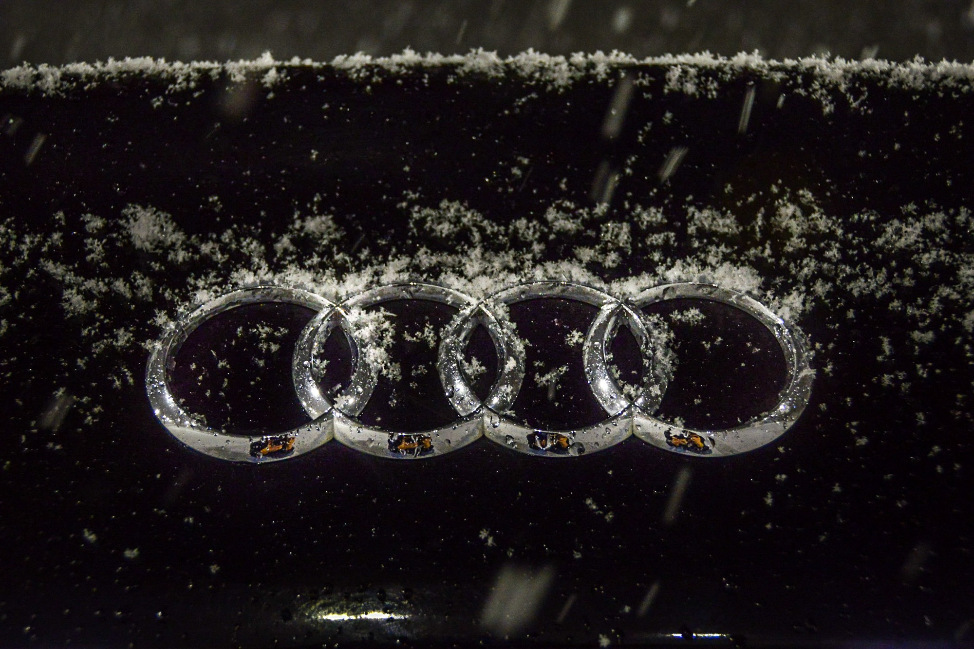 Audi in the Snow